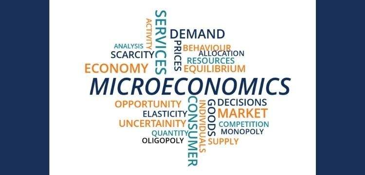 MICROECONOMICS