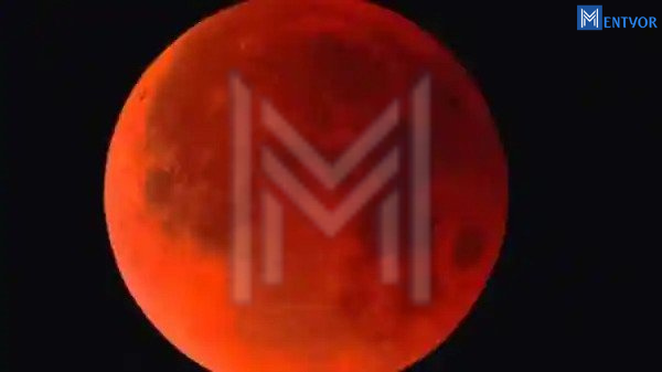 Lunar Eclipse
Super Flower Blood Moon