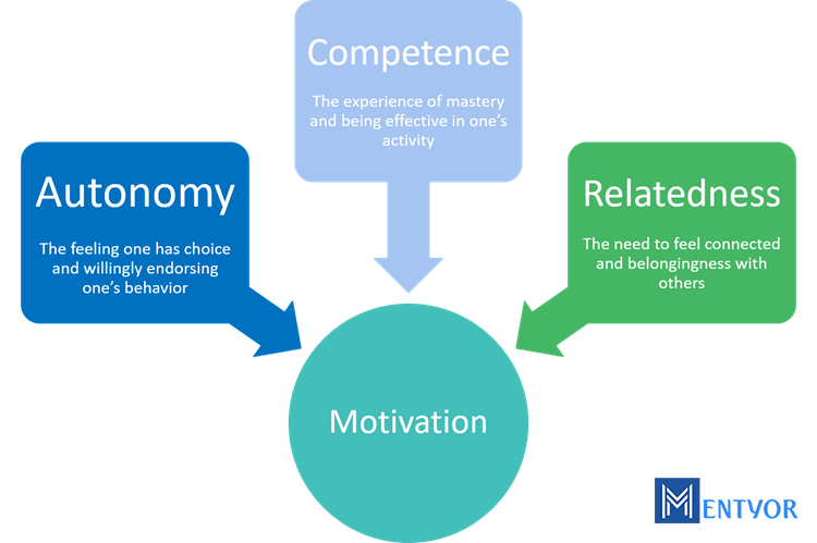 Improve Self Determination
Self Determination Theories