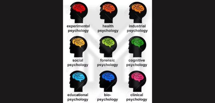 Branches of Psychology