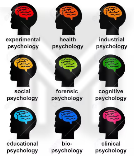 Branches of Psychology