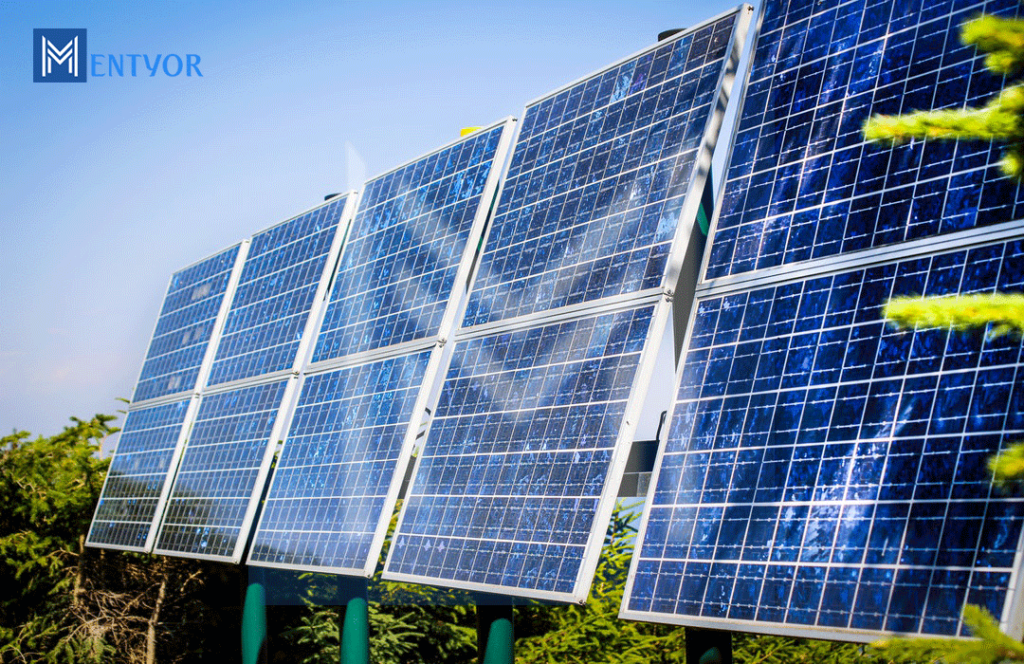 Carbon Budget - CARBON Footprint