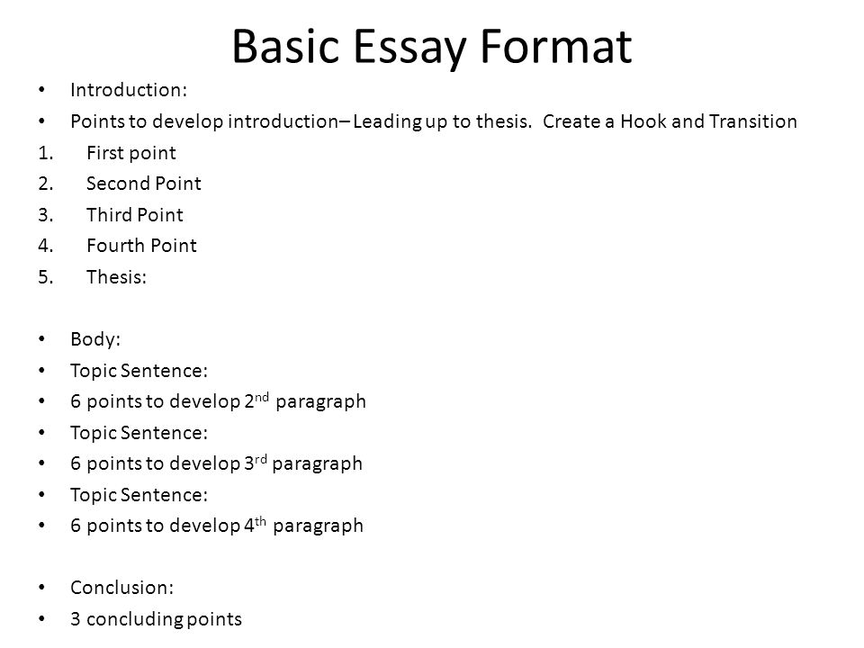 what is the format for an essay