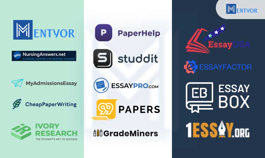 Essay Writing Service Provider