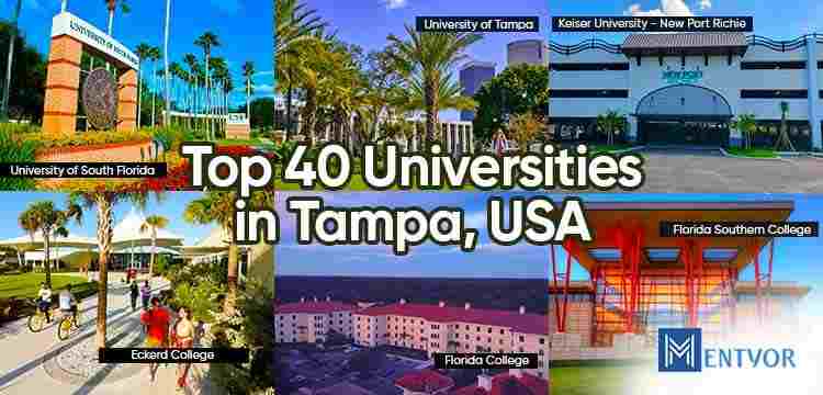 Top 40 Universities in Tampa, USA | Best Universities in Tampa