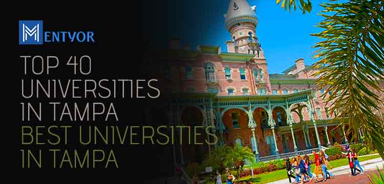 Best Universities in Tampa