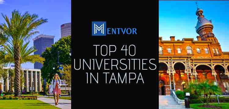 Top 40 Universities in Tampa