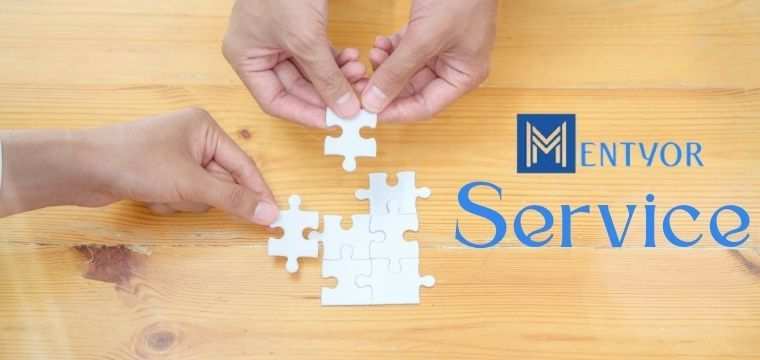 The Services decided by Mentyor | Learn The Best Way