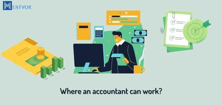Where an accountant can work?