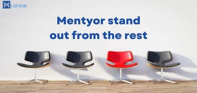 Mentyor stand out from the rest