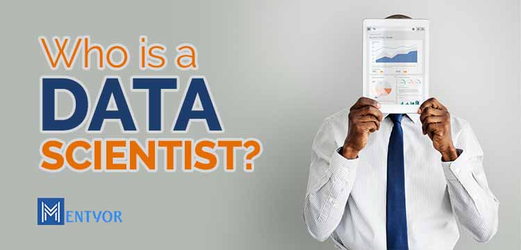 Who is a Data Scientist?