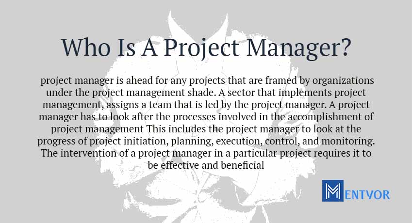 Who Is A Project Manager?