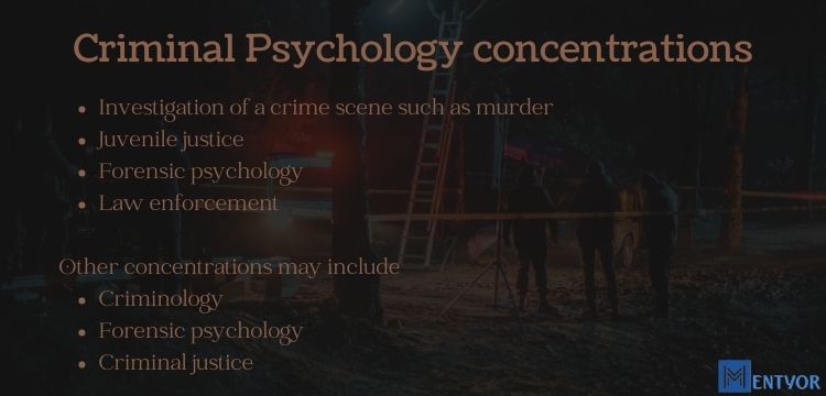 Criminal Psychology concentrations