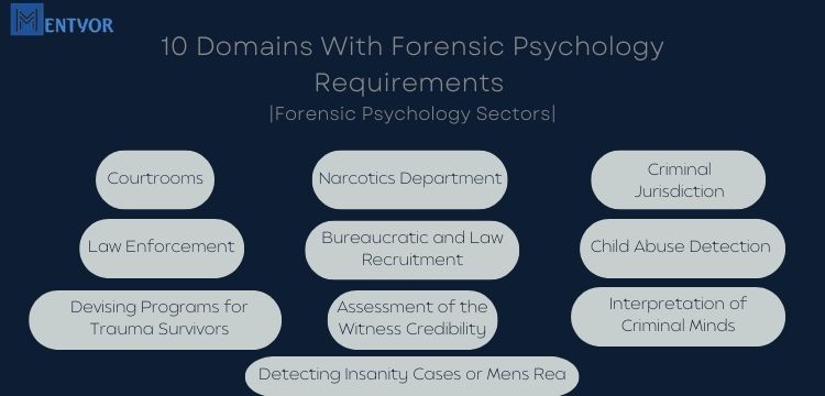 10 Domains With Forensic Psychology Requirements 